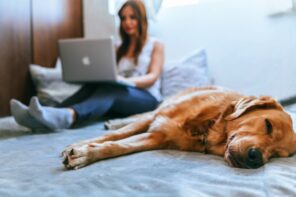 5 Good reasons to adopt a pet in midlife and beyond